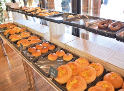 dfe514ffda37d403f3e09d2338282251